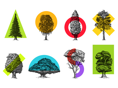 Trees art collage design draw geometric illustration nature plant pop print retro shape sketch tree vector vintage