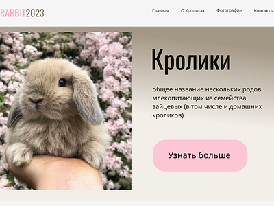 Обложка для сайта о кроликах animals design ui veb