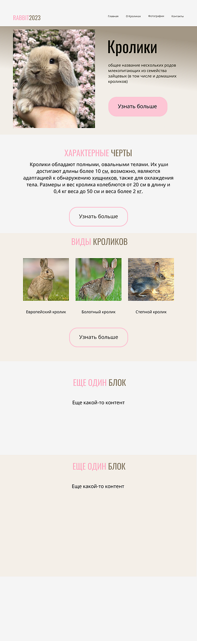 Обложка для сайта о кроликах animals design ui veb