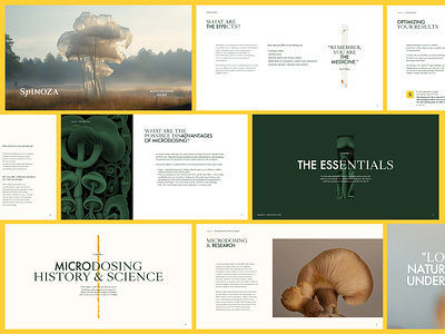 Spinoza - Microdosing Guide art direction branding digital book graphic design layout web design website
