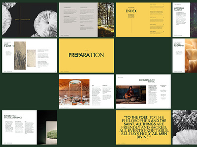 Spinoza - Guide art direction graphic design illustration layout ui website