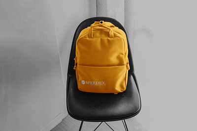 Backpacks Branding brand identity branding business design graphic design idesign254 illustration logo ui