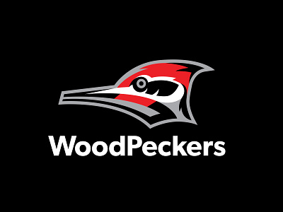 WoodPeckers bird branding design graphic design illustration illustrator logo vector woodpecker