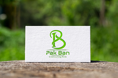 Pak Ban from K.S.A. Logo Design 3d animation branding graphic design logo