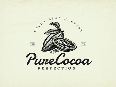 Pure Cocoa Perfection Logo Design 2d design bean branding chocolate cocoa cocoa logo design graphic design illustration logo vector