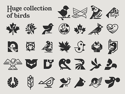 Huge collection of birds /2023 bird birds brand branding collection design elegant graphic design illustration logo logofolio logoset logotype mark minimalism minimalistic modern sign