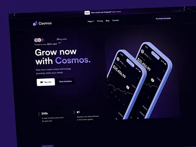 Cosmos - SaaS and Web3 Webflow template app branding cosmos dark dark gradient design galaxy gradient graphic design hero illustration logo saas space template ui web3 webflow