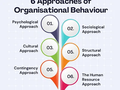 Organisational Behaviour Approaches and Assignment Support assignment help