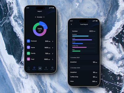 Spentify Expenses Management App chart dashboard expenses finance fintech report statisitcs ui ux