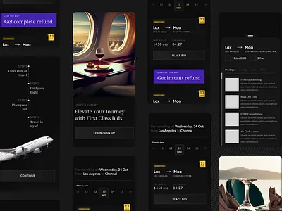 Online Air Ticket Bidding airline aviation bidding business class first class flight luxury premium travel