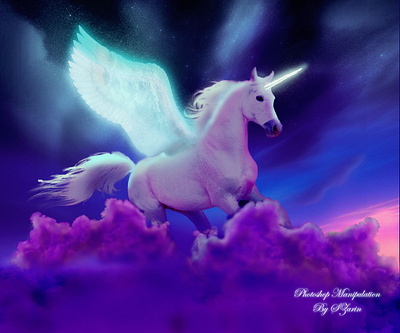 Photoshop Manipulation~ A unicorn pegasus graphic design