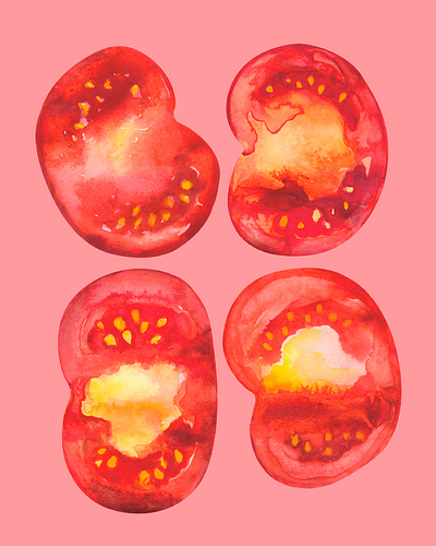 Tomato illustration water color water colour