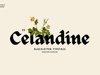 ED Celandine Typeface