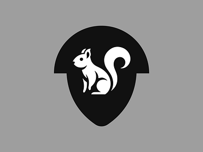 SQUIRREL animal branding canada design graphic design icon identity illustration logo squirrel ui vector