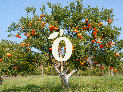 Fruton Identity & Packaging branding fruit krisdoda logo mark nature organic symbol type typography
