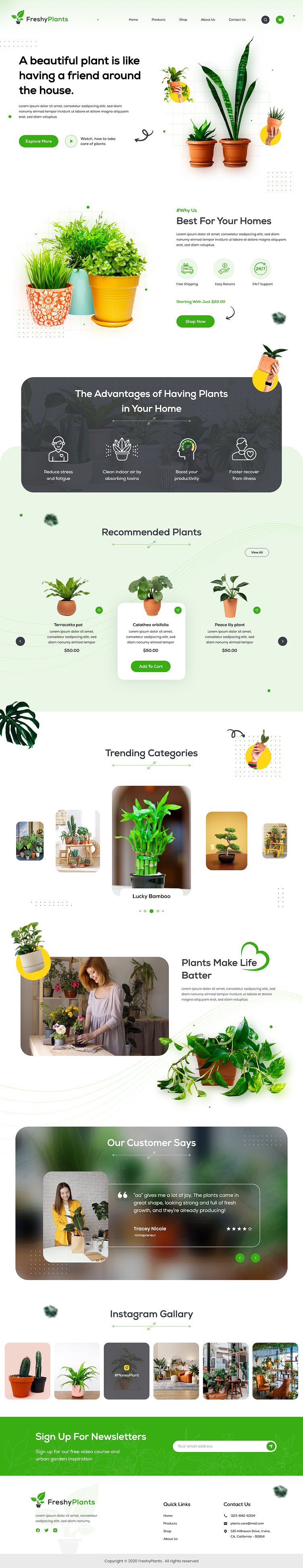 Plant Shop Landing Page design fiverr freelancer freelancing illustration landing page design ui upwork web design wordpress