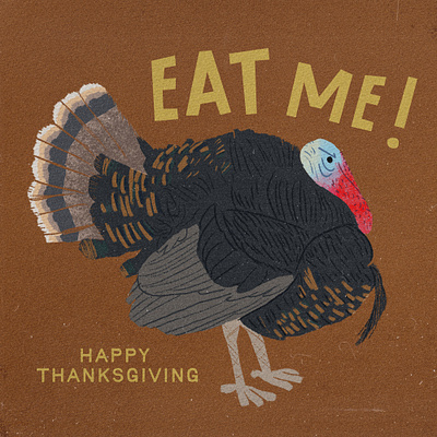 Mean Turkey animal drawing grumpy illustration turkey