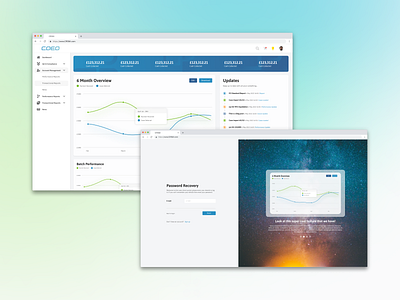 Redesigning A Client Management Portal branding graphic design ui