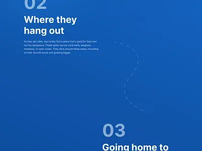 3D Website Sea Turtles branding motion graphics ui