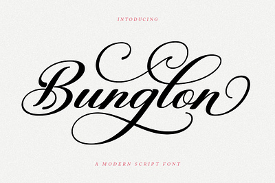 Bunglon Script branding calligraphy cards design elegant font illustration modern wedding