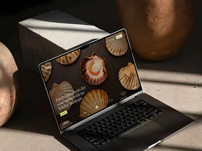 Saltz web design branding design food graphic design identity juste navickaite restaurant typography ui ui design ux design uxui