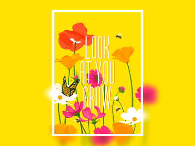 Look at you grow bee butterfly flowers grow orange pink poppy red wildflowers yellow