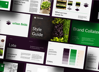 Urban Fields Brand Guidelines, style guide, branding Deck, Logo brand guidelines brand identity branding food logo designer modern startup style guide