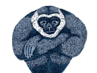 Poster for International Gibbon Day 2020 animals conservation hand drawn illustration poster scientific illustration wildlife