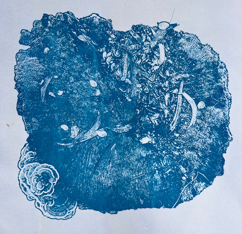 Cyanotype | Tree Trunk adobe photoshop cyanotype print photo manipulation photography print sunprint