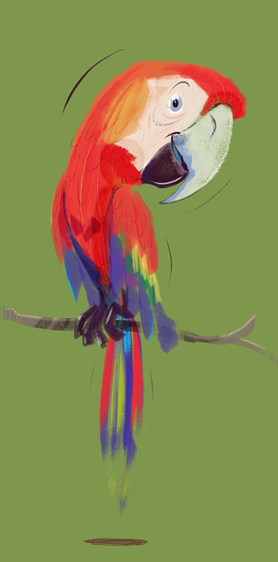 ARA ara cute parrot digital painting pappagallo carino pappagallo colorato parrot red ara parrot red parrot