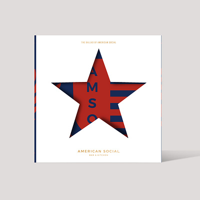 Vinyl Brand Book Design american brandbook cover diecut red shield star vinyl