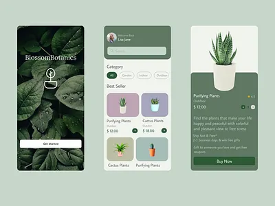 BlossomBotanics daily ui figma ui
