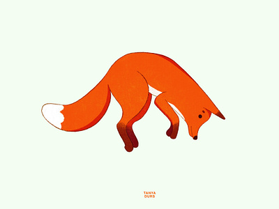 Forest animals. Children book. animalcharacter animals animalsillustration bookillustration characterdesign childrenbook childrenbookillustration childrenillustration digitalart forestanimals fox foxcharacter foxilllustration illustration kidlit kidlitart nonfiction nonfictionillustration picturebook procreate