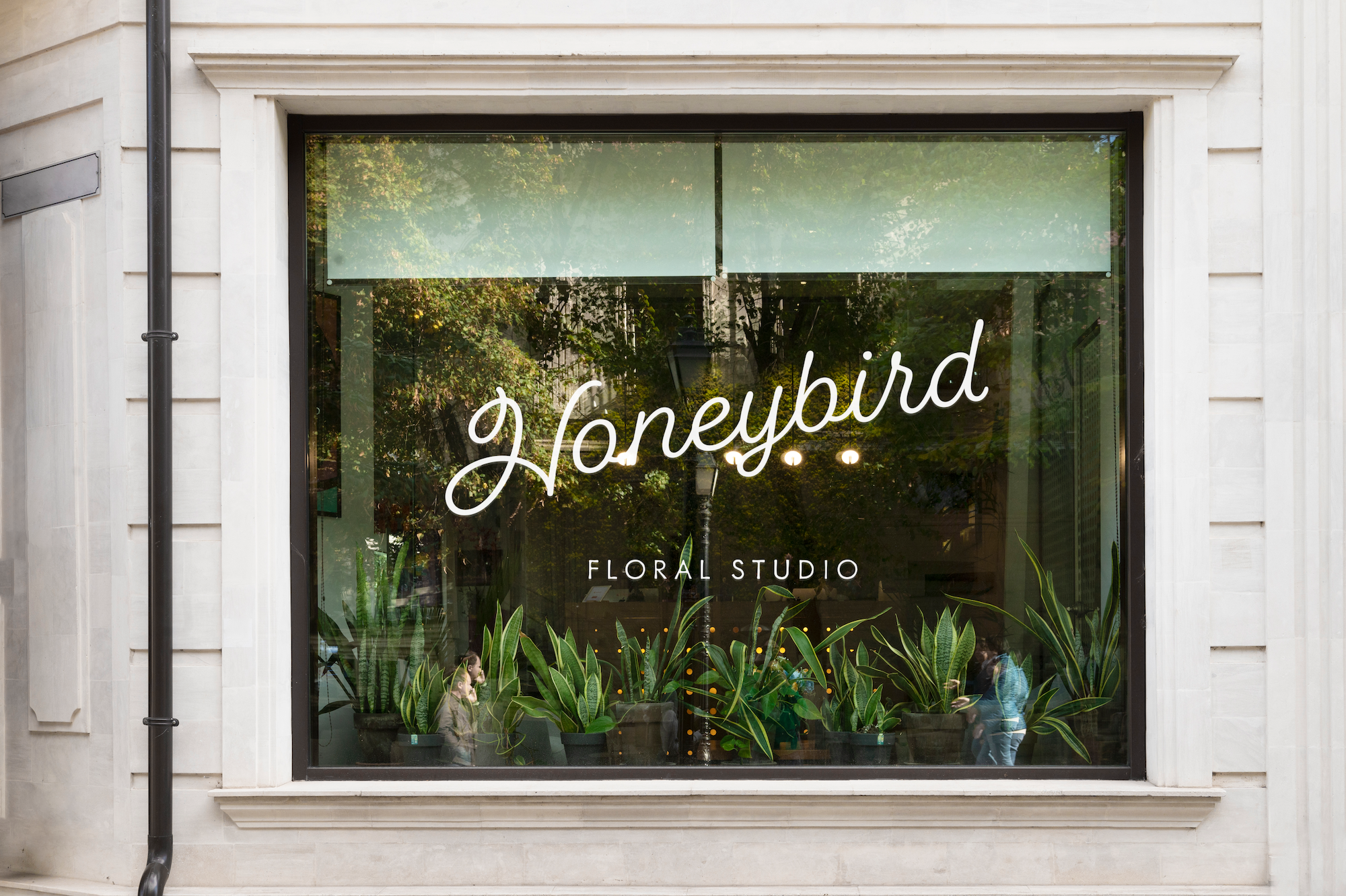 Honeybird Flower Studio | Full visual brand identity design brand development brand identity branding design designer flower shop flower shop brand design flower shop branding flower shop logo graphic design illustration logo logo design logo designer modern brand identity modern branding ideas simple brand design vector visual branding visual design