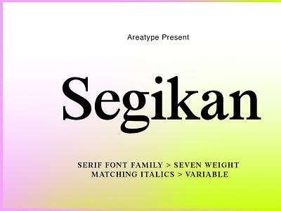 Segikan SALE 60% OFF branding fonts display fonts elegant font elegant fonts elegant serif font family font feminine fonts fonts ligature font serif fonts typeface font typography