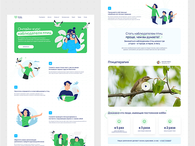 Birds of Russia Website Home Screen bird design interface site ui ui ux ux