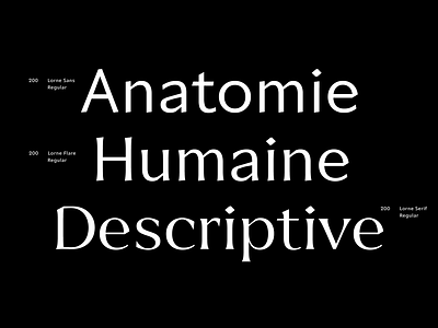 Lorne Variable Typeface – Sans Flare Serif flare font sans serif typ typeface typography