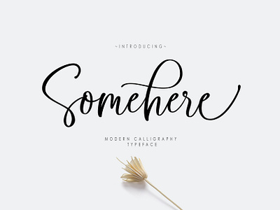 Somehere Script app awesomefont blogger branding font fontduo graphic design illustration logo motion graphics script font vector webfont