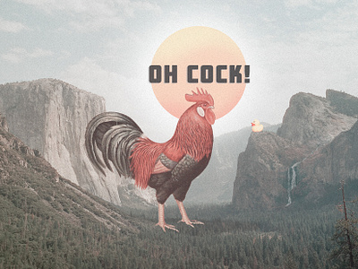 Oh cock! color design digita digital art en·vi·ron·ment graphic design photoshop poster print retro surreal texture typography