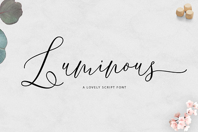 One Luminous Script illustrations