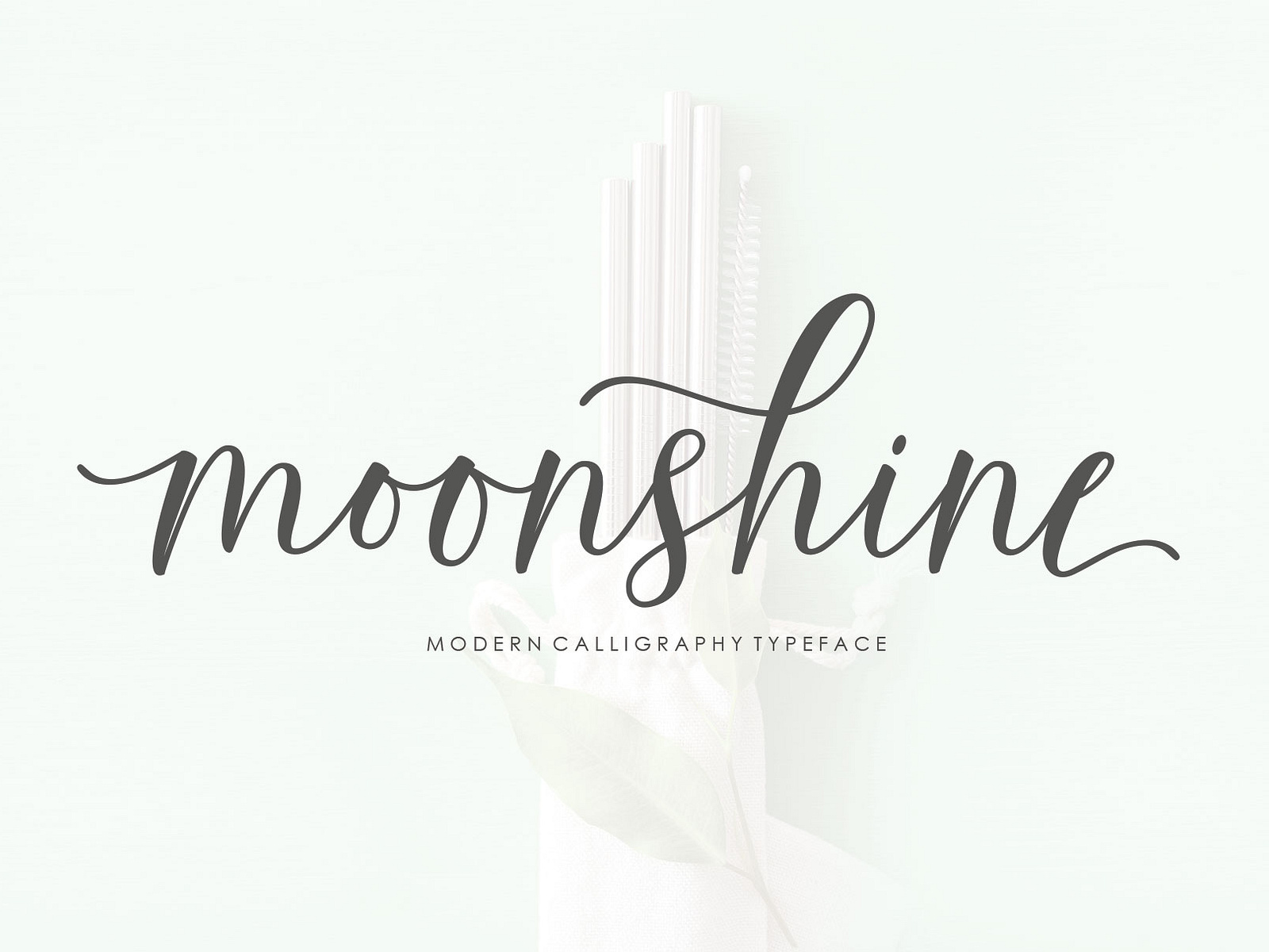 Moonshine Script by Moriztype on Dribbble