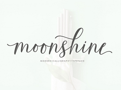 Moonshine Script illustrations