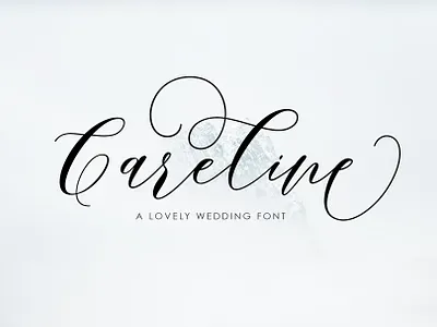 Brandice Script illustrations
