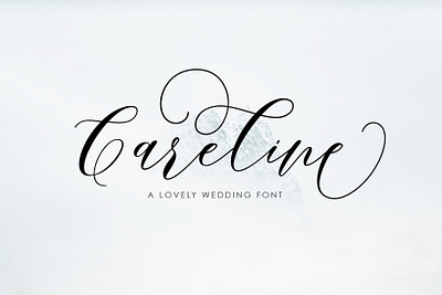 Brandice Script illustrations