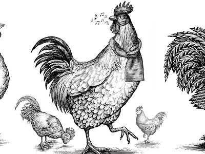 Rooster/Chicken Illustration Collection by Steven Noble animals artwork chicken design drawing engraving etching graphic art illustration ink line art logo rooster scratchboard steven noble woodcut