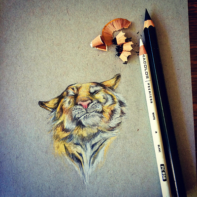 Easy, tiger character design illustratio traditional illustration