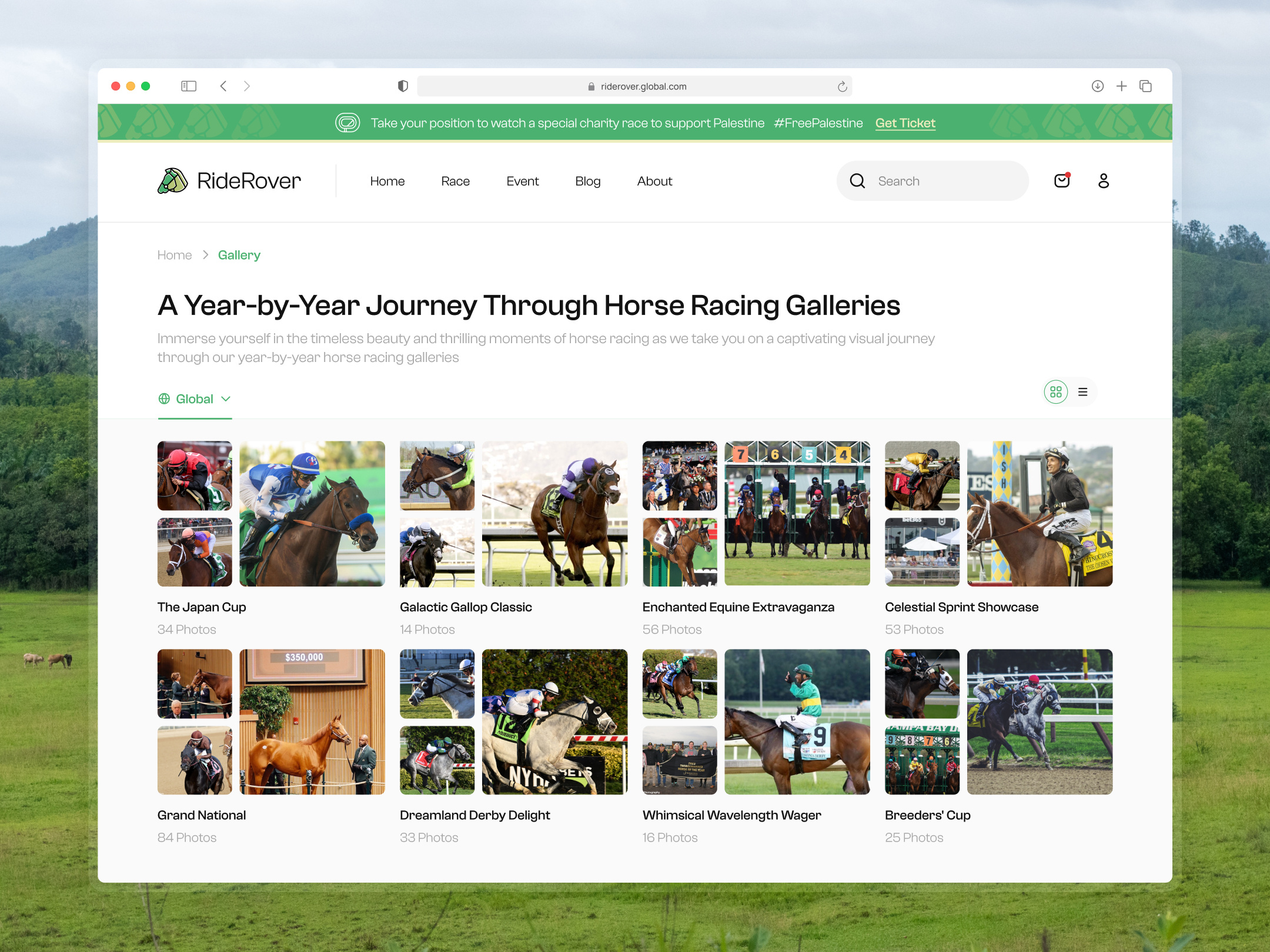 RiderRover - Horse Racing Website - Gallery Page clean design galleries gallery gallery design gallery page gallery ui green horse horse race horse racing horse riding journey product product design ride ui ux web design website