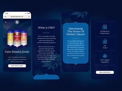 GT's Cannabliss | Mobile Landing Page design mobile ui ux web