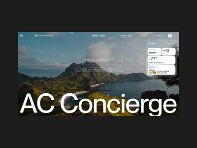 AC Concierge / Visa Center clean design site travel ui ux visa web