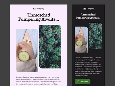 Black Friday email template for a service black friday design system email email design email template newsletter service